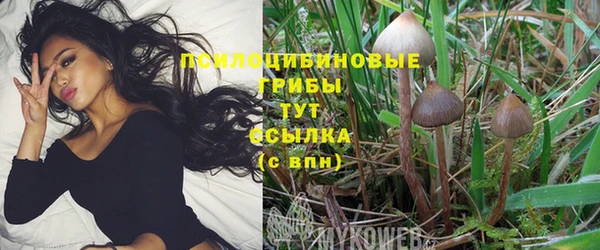 Альфа ПВП Балахна