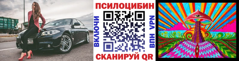 Галлюциногенные грибы Psilocybine cubensis  Горняк 