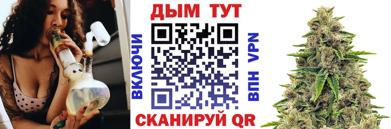 Шишки марихуана ГИДРОПОН  где можно купить   Горняк 